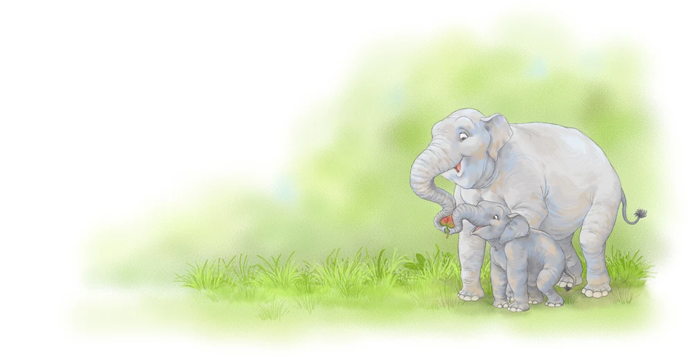 Un éléphanteau auprès de son parent, illustration de la collection