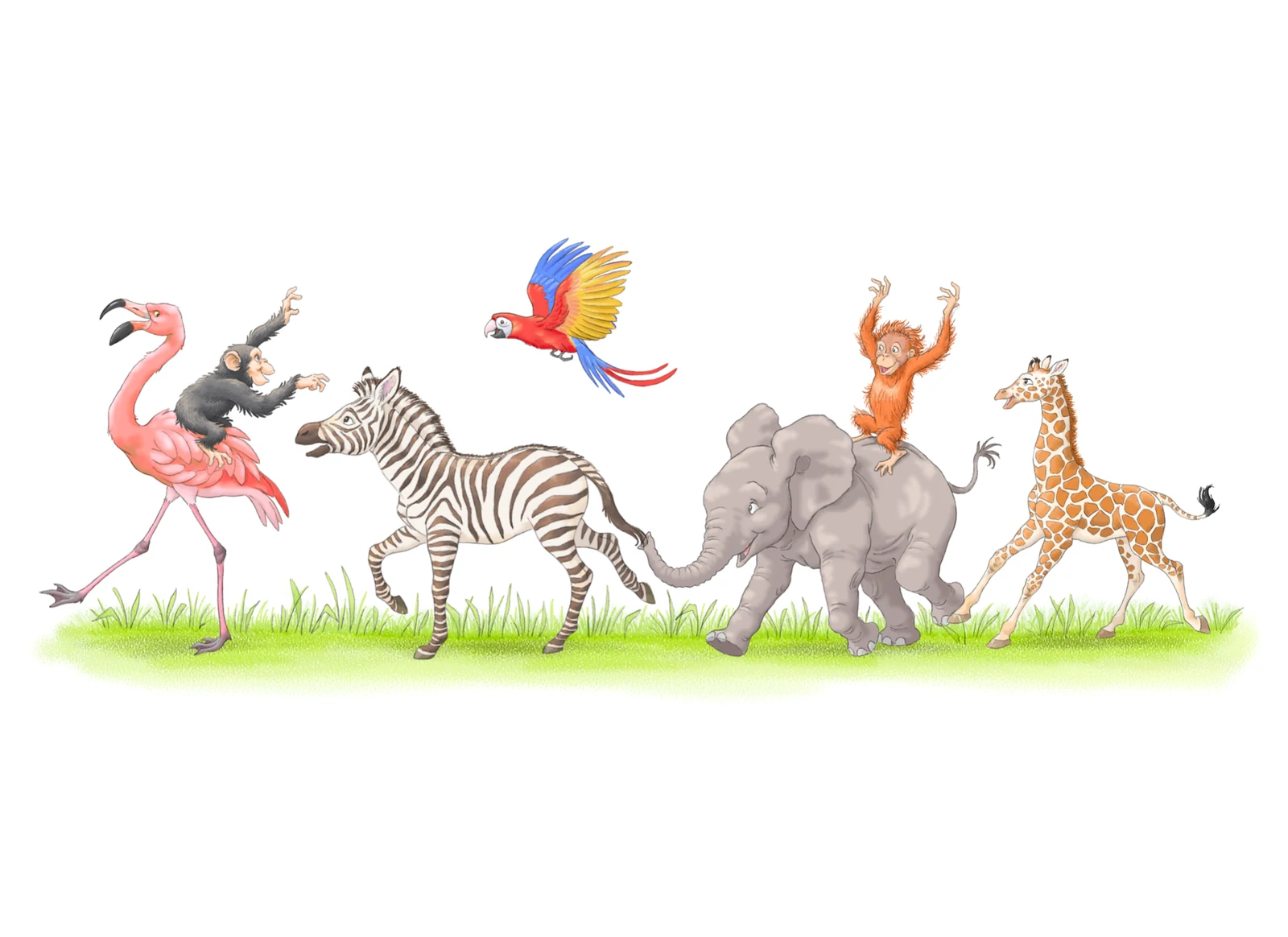 La frise des animaux de la collection : éléphant, zèbre, girafe et leurs compagnons